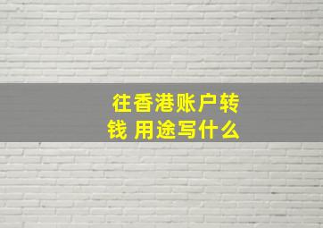 往香港账户转钱 用途写什么